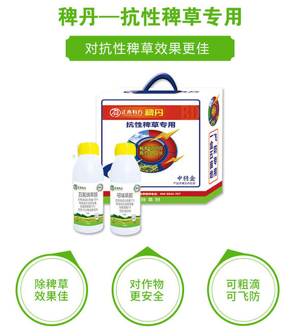 ���԰޲݌�(zhu��n)��-�޵�-�����з�_02