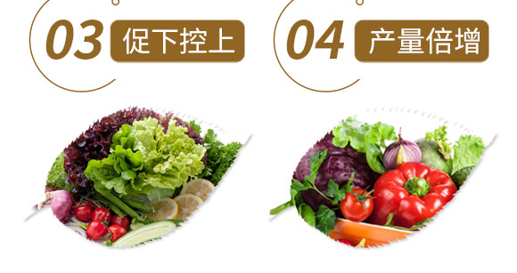 ��ˎ�����߮�(d��ng)�w��(zhu��n)��-����ֲ��ˮ�ܷ�-�����r(n��ng)��_07