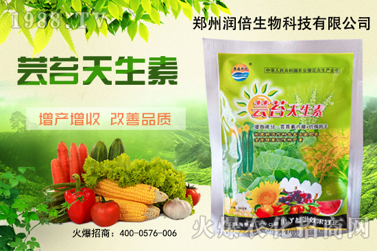 �S�B������ô�������S�B���ڲ��x��������