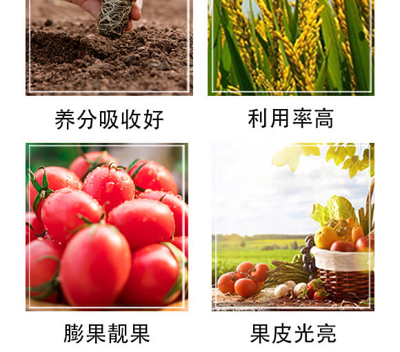 ����Ԫ��ˮ�ܷ���20-20-20+TE-�r(n��ng)��һ_06