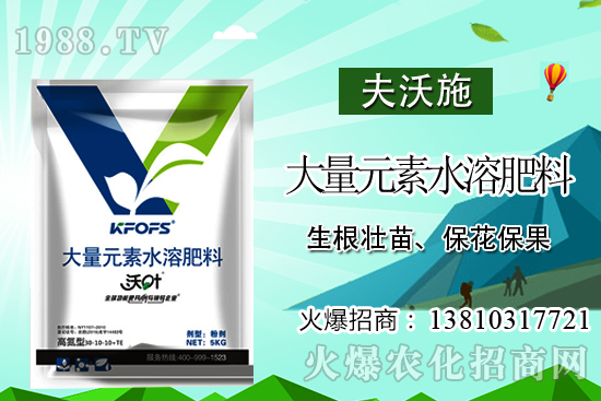 金櫻子有什么營(yíng)養(yǎng)？金櫻子的功效與作用！