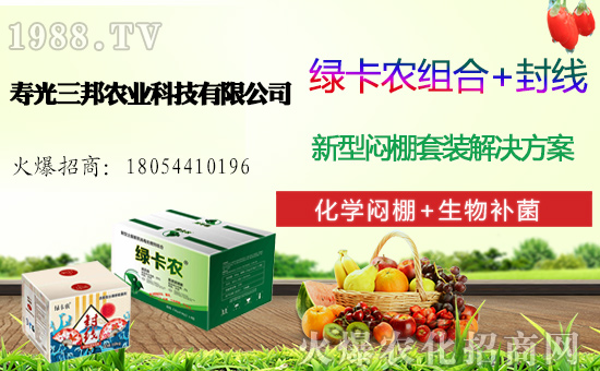 �ײ˶����Xһ�һ���خa(ch��n)���ٽ�ײ����ײ˷Nֲǰ��������������