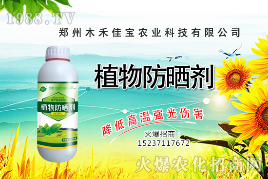 ������Nֲ����Ҫ�c(di��n)����Щ�����������Է�����