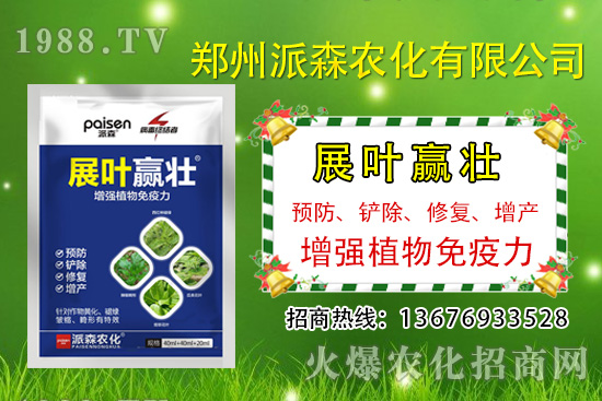 韭菜什么時候播種？韭菜市場前景如何？（種植成本及利潤分析）