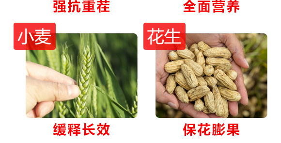 ֲ�ﵰ�׻���ø-������-�W�S�ʘI(y��)4