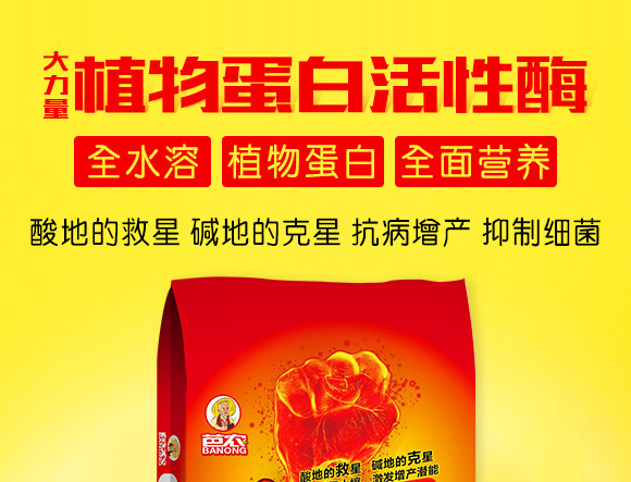 ֲ�ﵰ�׻���ø-������-�W�S�ʘI(y��)1