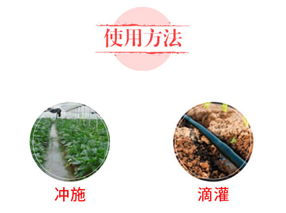 調(diào)理型微生物菌肥—果然好-鼎盛河山_05