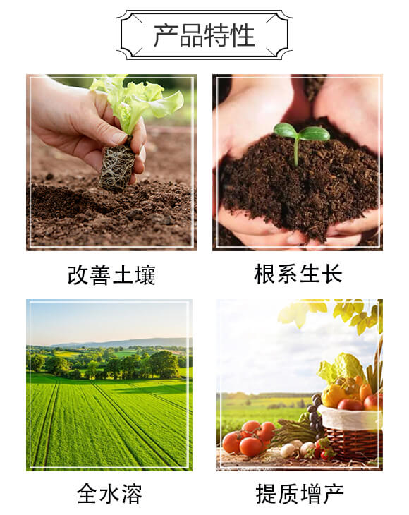 ̼ø������-������-�����S_03