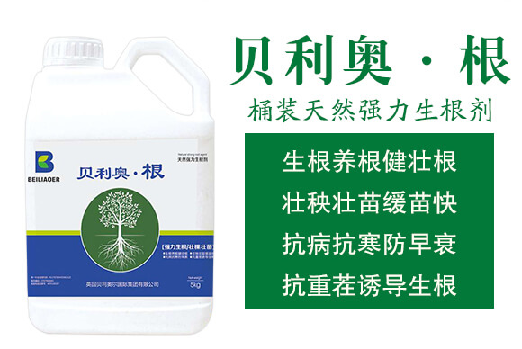 Ͱ�b��Ȼ��(qi��ng)��������-ؐ���W����-�����S_02