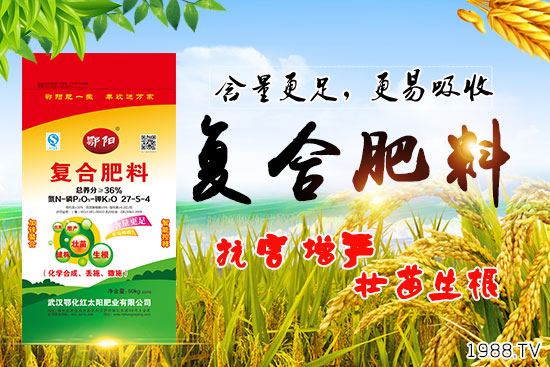 Ѫ������Щ�I�B(y��ng)�rֵ����Ѫ����ʲô��̎��