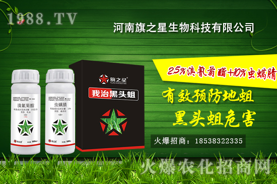 ʲô�Ǿ����������l(f��)��Ҏ(gu��)�ɣ������o�������η�����