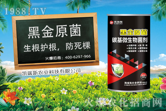     玉米什么時(shí)候成熟，玉米的收獲時(shí)期，玉米的營(yíng)養(yǎng)價(jià)值！