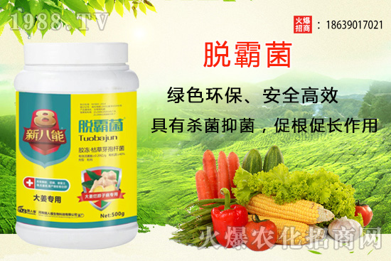 �����Nֲ�xʲôƷ�N�������Nֲǰ��������Ʒ�N���]��