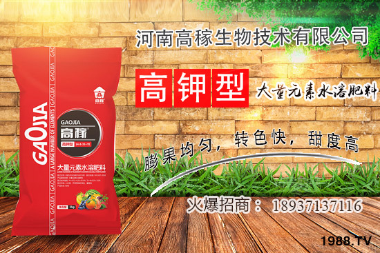 小香蔥種植環(huán)境有什么要求？夏季種植小香蔥的技巧！