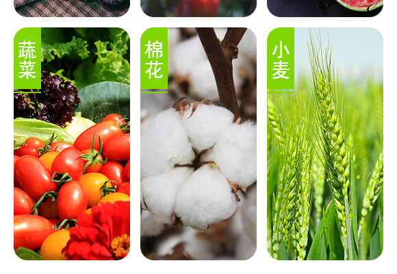 ���u��������Ƽ����޹�˾�a(ch��n)ƷԔ���(y��)1_05