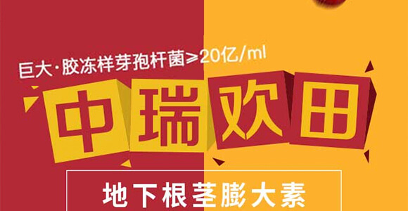 ���¸��o�����-���-����g��-�������r(n��ng)_01