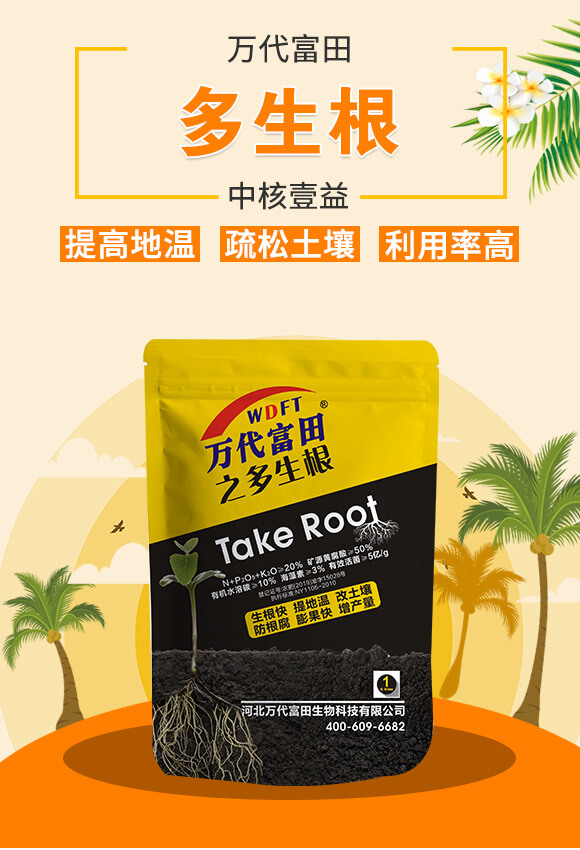 ������-�к�Ҽ��_01