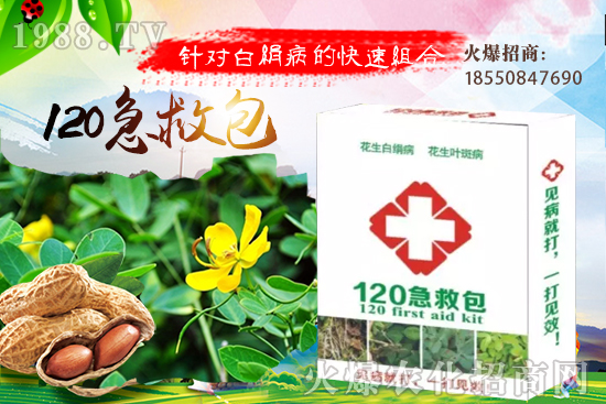 慈姑育苗方法有哪些？慈菇怎么移栽定植？