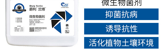 ΢�������-�����m��-����_04