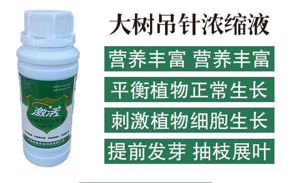 ����ᘝ�sҺ-����-�³�_02