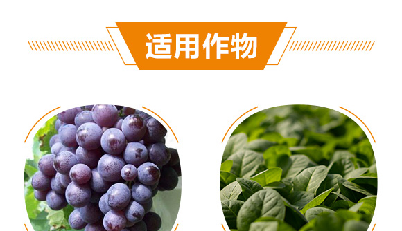 ����ֲ��ˮ�ܷ���-�_���_�F-��΢_08