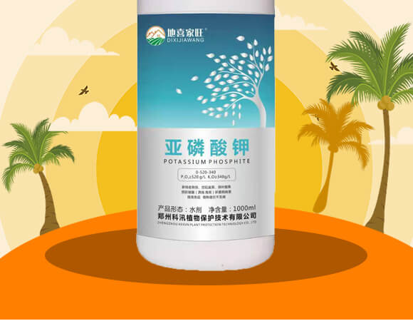 �������0-520-340-��ϲ����-��Ѵ_02