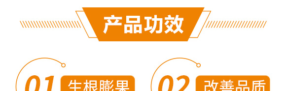 高產(chǎn)綠滿(mǎn)天-郭師傅-立信生物_06