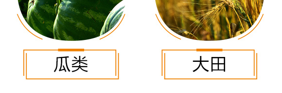 ����ֲ��ˮ�ܷ���-�_���_�F-��΢_10