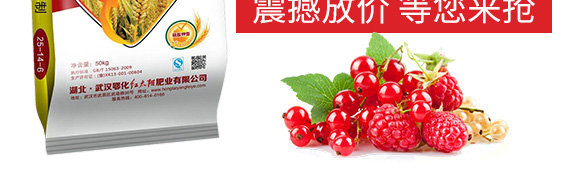 ������͏ͺϷ���25-14-6-���_05