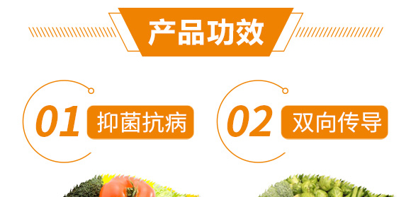 ���ь�(zhu��n)�÷�-���r(n��ng)_06