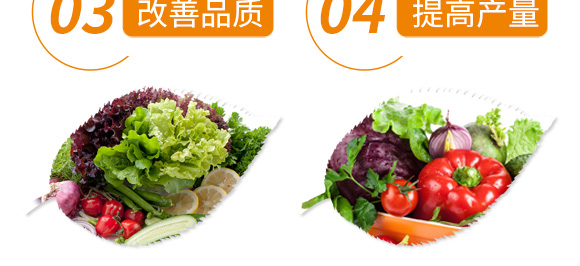 ����ֲ��ˮ�ܷ���-�_���_�F-��΢_07