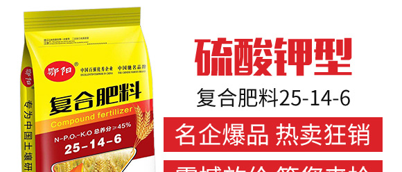 ������͏ͺϷ���25-14-6-���_04