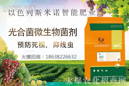 ���Y(ji��)���xΣ����̫�y��������΢�ء����æ�����ƾ��x���x�����Ƀ���