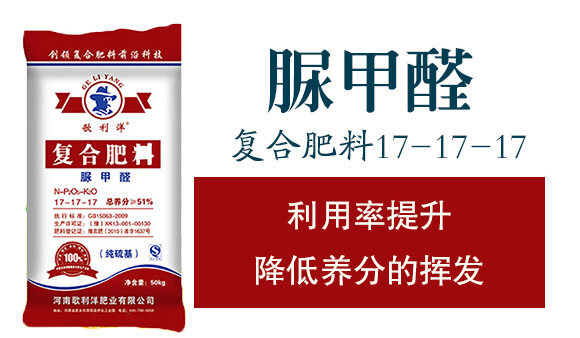 �ͺϷ��ϣ����ȩ��17-17-17-������_02