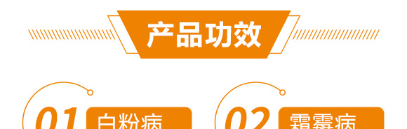 �߮a(ch��n)�G�M��-������-��������_06