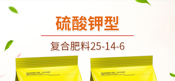 ������͏ͺϷ���25-14-6-���_01