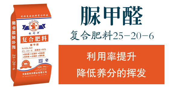 ���ȩ��(f��)�Ϸ���25-20-6-������_02