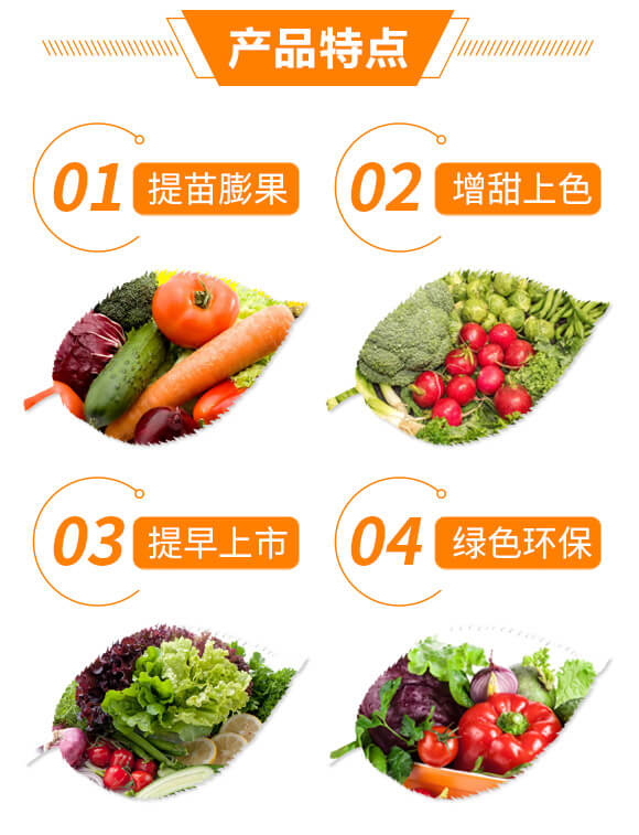 �ЙC�z�wȫԪ�ط�15-5-30+TE-�޹�2̖-�{��_03