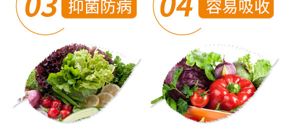 �׷ʽ���(d��ng)��-��ֲ(li��n)��_07