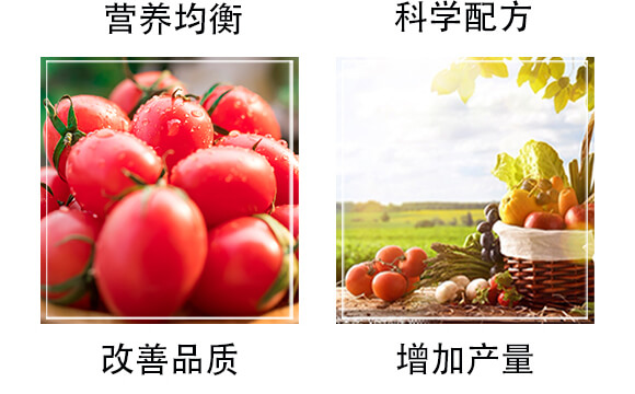 �����ЙC�ʣ��G��-�S�r(n��ng)_05