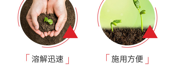 ������͏ͺϷ���25-14-6-���_08