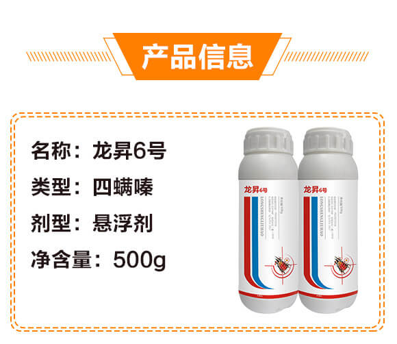 20%�����-���N6̖-���N����_03