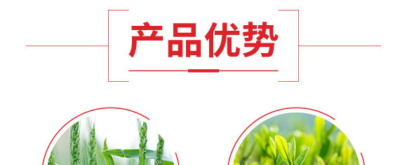 ������͏ͺϷ���25-14-6-���_06