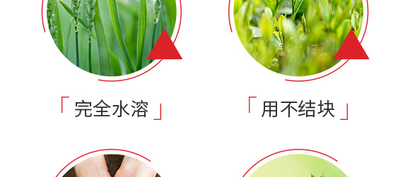 ������͏ͺϷ���25-14-6-���_07