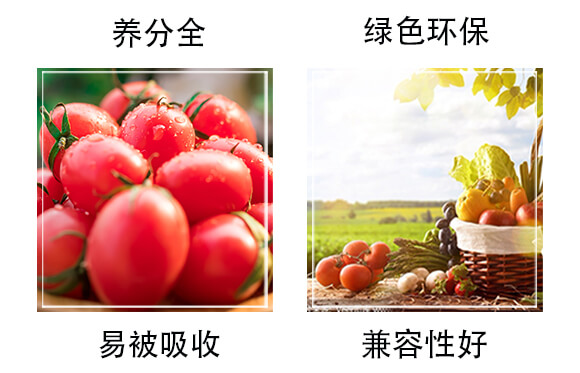 ����ˮ�ܷ�15-5-32-��̫��_05