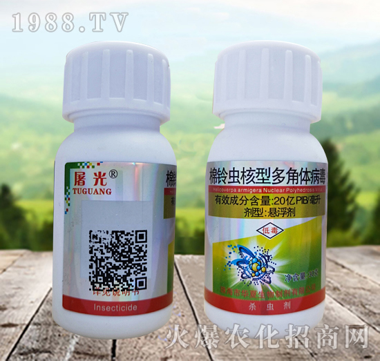 ����x���Ͷ���w������ʲô�x��Ч����ô�ӣ���ô�x����