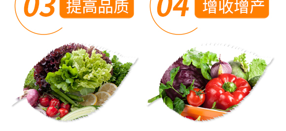 ����Ԫ���ͺ���ֲ��ˮ�ܷ��ϣ�Ͱ��-��ʩ��-����-���S��_08