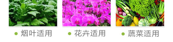 ��(x��)��������-��(gu��)�S���@_09