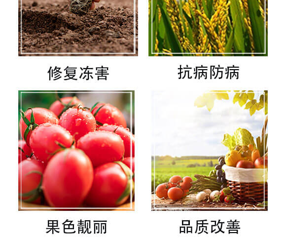 量子光肽炭基酶-果仕奇-國豐健園_05