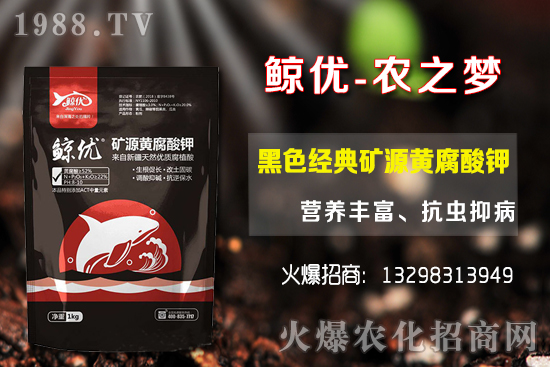 �����ķNֲ�ܶ���������Ʒ�N�x�񼰷Nֲ������